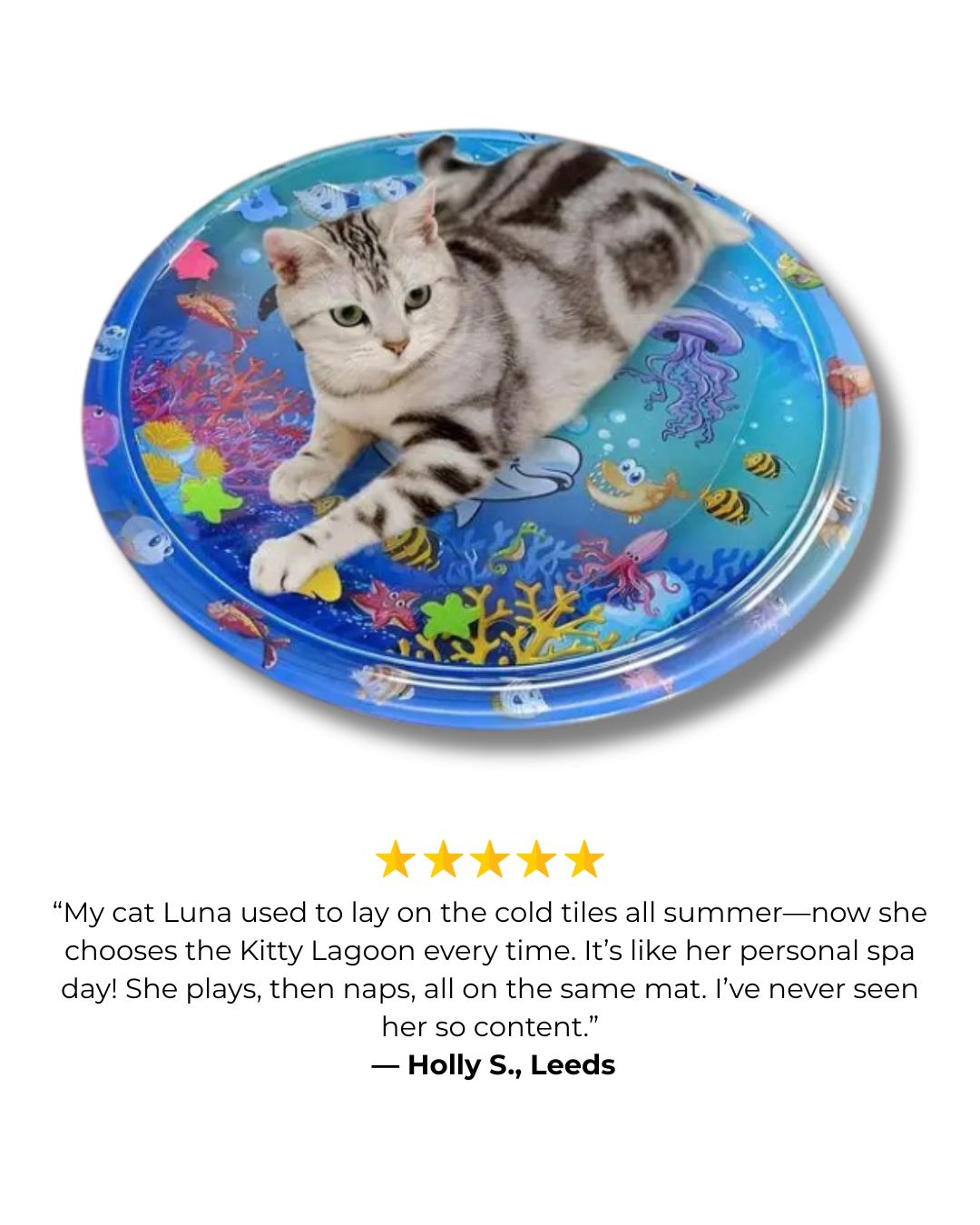 Kitty Lagoon - Water Sensory Playmat for Cats