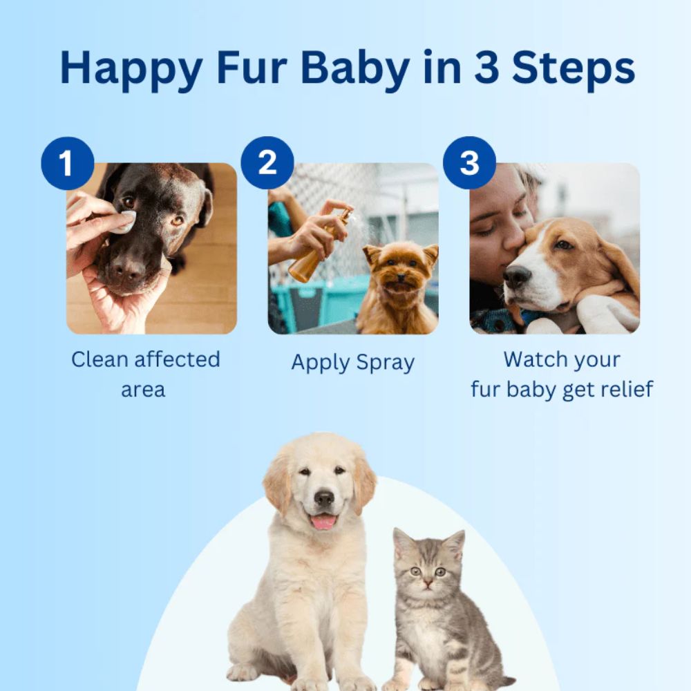 Vet Formulated All-In-One Pet Spray